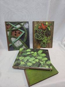 lot 431 image: Time-Life Encyclopedia of Gardening Evergreens Book