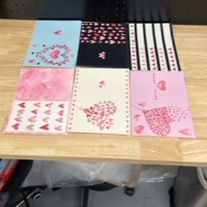 lot 4342 image: Set of 12 Blank Valentines Day Cards With Envelopes. 6 Different Designs  - Retail $0