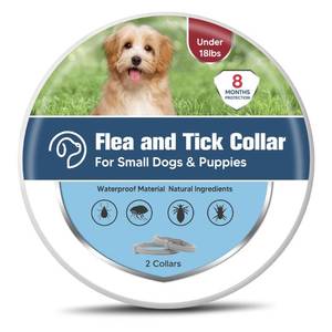 lot 71842 image: Flea Collar for Small Dogs, Tick Collars for Puppy, Small Dog Flea Collar Under 18 lbs, 8 Months Protection (Pack of 2) - Retail $30