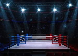 lot 71885 image: Stadium Lighting 3D Professional Banner Boxing Arena Photo Background Sports Match Blur Spectator Photography Backdrop Boy Mens Athletes 7x5ft - Retail $9