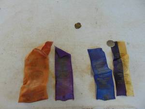 lot 2026 image: Wichita AKC Ribbons and (2) Dog Tags - 1951
