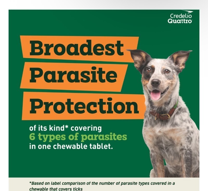 lot 55 image: Dog Dewormer Chewable Tablets for Dogs, 25.1-50 lbs, 6 Chewables  Retails $223