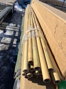 lot 183 image: Bundle of 8 Bamboo Great for Privacy etc