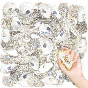 lot 4354 image: stonechic 60PCS Oyster Shells 4-5 Oyster Shells Bulk Large Oyster Shells for Home Decor Vase Filler, Ornaments, DIY Arts and Crafts Sea Shells, Deeper Shells