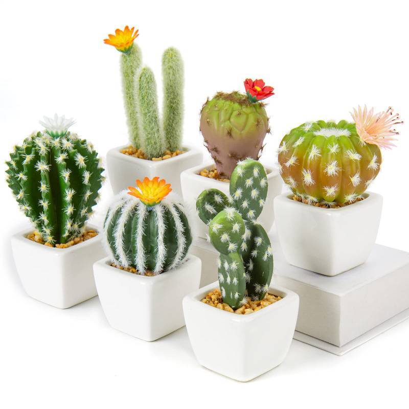 lot 3466 image: Oairse Mini Artificial Cactus Plants in Ceramic Pots 6 Pcs Potted Faux Succulents in Pots Fake Potted Plants Cactus Decor Small Artificial Plant for Home Decor Indoor Office Desk Tabletop Shelf