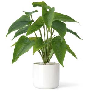 lot 8701 image: Mkono Fake Plants in Ceramic Pot, 11 Potted Artificial Plants for Home Decor Indoor Faux Green Leaf Plant with Modern White Planter for Desk Shelf Office Room Decoration (Pothos)