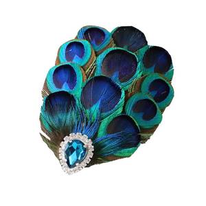 lot 8734 image: Vpang Elegant Peacock Feather Hair Clip Rhinestone Natural Feather Fascinator Headpiece Wedding Hairpin Fancy Dress Party Accessories (Style 4)