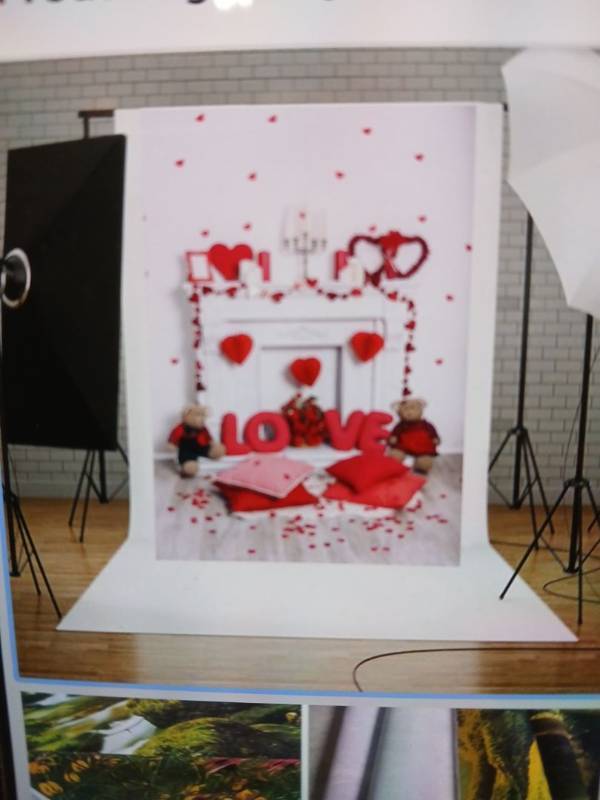 lot 28436 image: Valentines Day Photography Backdrop