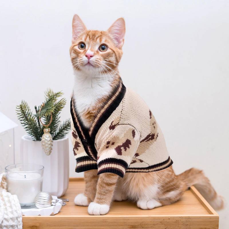 lot 39016 image: ABRRLO Small Dog Sweaters Cute Bear Dog Cardigans Clothes for Small Medium Dogs Boy Girl Puppy Cat Knitting Cardigan Outfits Dogs Winter Coats Warm Pet Doggy Clothes Soft Knitwear Apparel (Beige,XL)