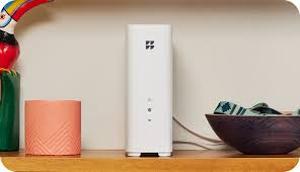 lot 8983 image: GFiber Wifi Router