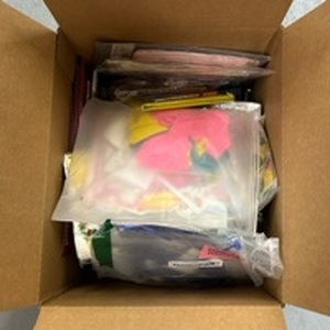 lot 4473 image: Party Planning Mystery Box - Retail $0