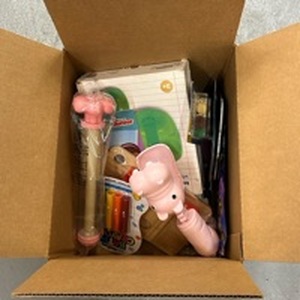 lot 4475 image: Kids Mystery Box  - Retail $0