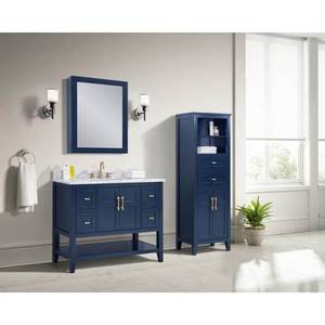 lot 30703 image: Sturgess 24 in. W x 32 in. H Rectangular Medicine Cabinet with Mirror - Retail $263