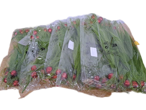 lot 31347 image: KOILLUXU 18 Pieces Lime Green Furry Christmas Tree Topper Picks with Glitter Red Berry Balls
