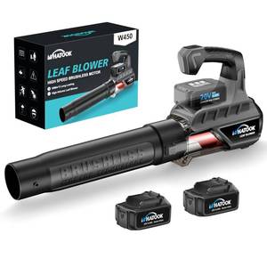 lot 31772 image: Leaf Blower Cordless with Battery and Charger 2 Batteries 20V 4.0Ah Brushless Motor, Handheld Electric Leaf Blowers, Battery Powered Blowers for Lawn Care, Yard Leaves Cleaning, (Grey)&nbsp
