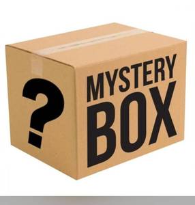lot 4008 image: Mystery Box of Various Items