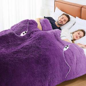 lot 31976 image: Heated Electric Blanket Size-Queen