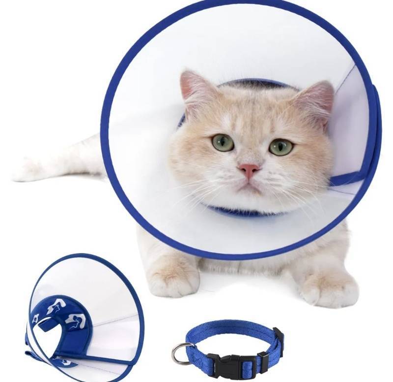 lot 31576 image: Cat Cone Recovery Collar, Adjustable Elizabethan Collar for Cats to Stop Licking After Surgery, Soft Comfortable Pet Cone for Neck Girth 7.5-9.0 3 Pack&nbsp