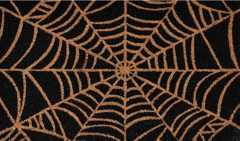lot 14099 image: Calloway Mills 101951729 Scary Web Doormat, 17x29, Black and Natural
