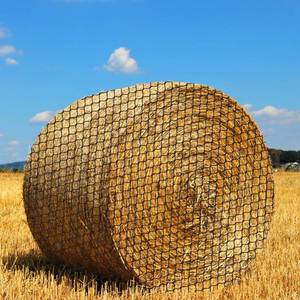 lot 5556 image: LeadGoods Large Round Bale Hay Net for Horses, Durable Nylon Knotless Slow Feeder Hay Nets for Horses and Goats (6  6  6 ft) - Retail $50
