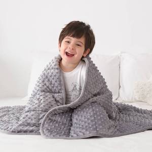lot 48069 image: Huloo Sleep Kids Weighted Blanket Twin 7lbs (41x60,Gray) Breathable Soft Minky Weighted Throw Blanket for All Season,Heavy Blanket with Premium Glass Beads - Retail $50