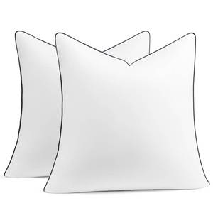 lot 48073 image: Puredown 20x20 Pillow Inserts Set of 2, Fluffy Overfilled Down Alternative Decorative Pillows, Soft Plush Throw Pillows for Couch, Sofa, Bed and Home Decor - Retail $33