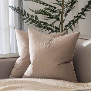 lot 48075 image: JUSPURBET Throw Pillow Covers Set of 2 Decorative Velvet Pillow Covers for Couch Sofa Bed Soft Cushion Covers Cases with Invisible Zipper for Living Room Home Decor 18x18 inch,Cloud - Retail $14