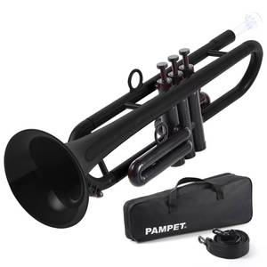 lot 1209 image: PAMPET Professional Plastic Bb Trumpet Standard Trumpet Set for Student Beginner With 7C Mouthpiece and 3C Mouthpiece, Bb Trumpet Instrument, Black, - Retail $73