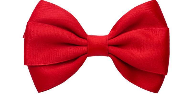 lot 43634 image: 4.5 Inches Hair Bows for Girls Thick Ribbon Boutique Alligator Clips Hair Accessories for Baby Girls Toddlers Kids Teens - Retail $8