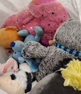 lot 81 image: 13 Gallon Bag Full of Stuffed animals