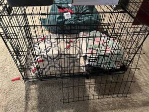 lot 115 image: Large Metal Wire Dog Crate with Double Doors
