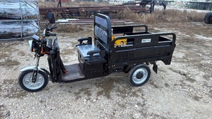 lot 106 image: Electric Utility Cart IRET13 Black