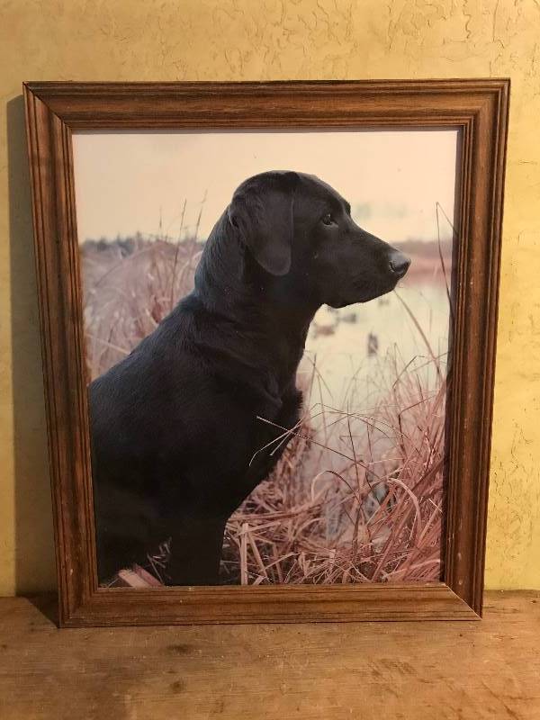 lot 2026 image: Wood Framed Black Lab Photo
