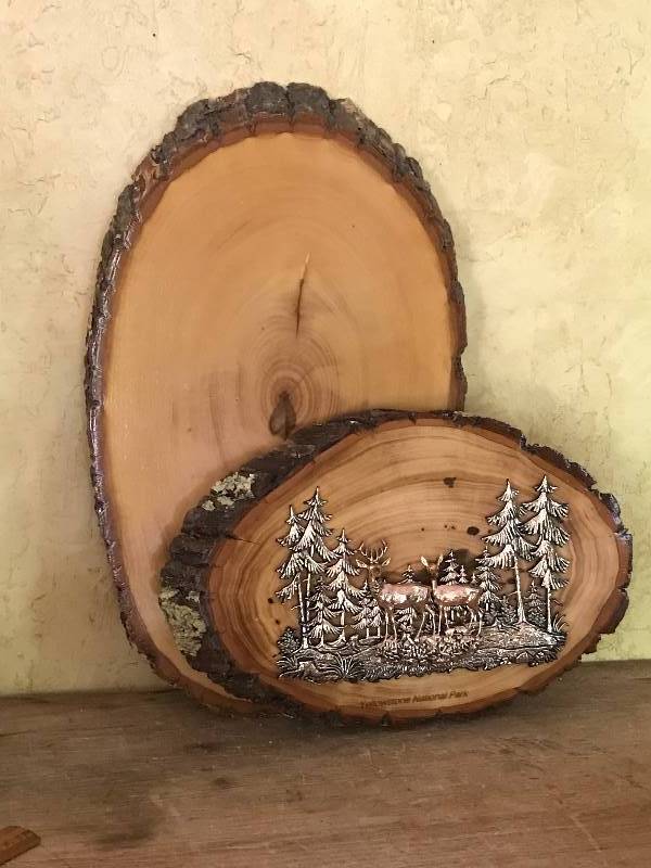 lot 2041 image: Wood slices with bark for Dcor or crafts