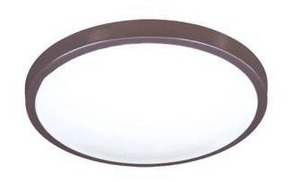 lot 24422 image: Cassidy 12 Wide LED Flush Mount Drum Ceiling Fixture - 16 W, 1049 Lumens, 3000K