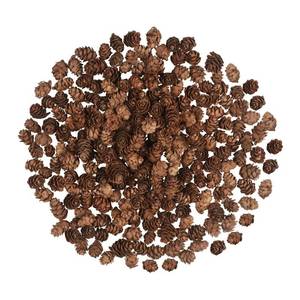 lot 204 image: 200PCS Christmas Natural Pine Cones Mini Fall Decorations Pinecones Ornaments Bulk Small Pine Cones for DIY Crafts Thanksgiving Fall Winter Christmas Wedding Decor Vase Filler Decor - Retail $12