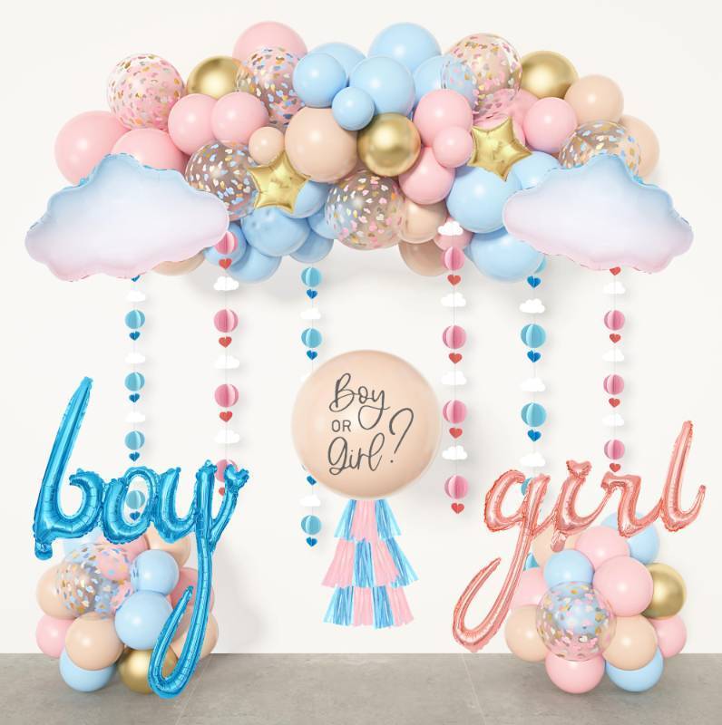 lot 28755 image: Ouddy Party Gender Reveal Decorations, Pastel Pink and Blue Nude Confetti Balloons Arch Kit Star Hanging Cloud Garland Paper Tassels He or She Boy or Girl Gender Reveal Baby Shower Party Supplies