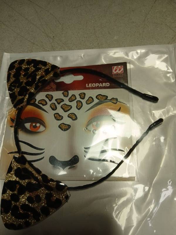 lot 37724 image: Milano Leopard Face Stencil Kit