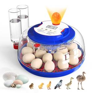 lot 39588 image: Incubators for Hatching Eggs, 18 Eggs Incubators with Egg Candler, Automatic Egg Turner, Temperature & Humidity Control, Full Viewing for Chicken, Duck, Quail, Goose, Parrot and Pigeon