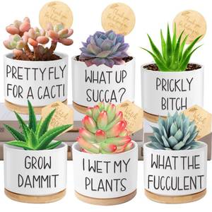 lot 48193 image: Succulent Pots 6 Pack, 3.15 Ceramic Funny Succulent Planters with Drainage and Bamboo Tray, Small Plant Pots with Plant Labels for Indoor Outdoor Plant, Birthday Gifts for Women - Plants Not Included