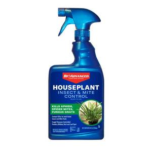 lot 3191 image: BioAdvanced Houseplant Insect & Mite Control, Ready-to-Use Fungul Disease & Fungus Gnats Killer, 24 oz  - Retail $12