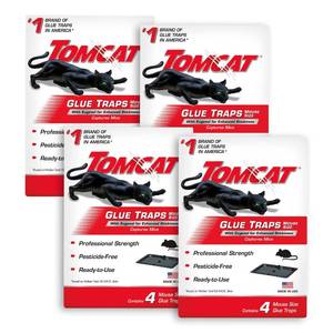 lot 3383 image: Tomcat Mouse Trap with Immediate Grip Glue for Mice, Cockroaches, and Spiders, Ready-to-Use, 4-Pack (16 Glue Traps) - Retail $14