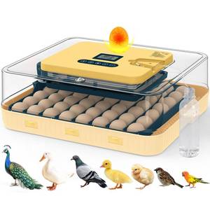 lot 1540 image: Incubators for Hatching Eggs, 56 Eggs Incubator with Egg Candler, Auto Egg Turner, Temp & Humidity Control, Hatch Day, 360° Viewing for Chicken, Duck, Quail Eggs, Ideal for Farm, School and Lab - Retail $230