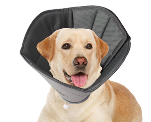 lot 4719 image: Soft Dog Cone for Small Dogs - Retail $17