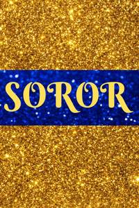 lot 7048 image: Lot of 2 Blue and Gold Glitter Soror Journal Sigma Gamma Rho inspired