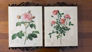 lot 1052 image: Pink Rose Botanical Print Set - With Iron Trim Approximately 15 by 10 including trim