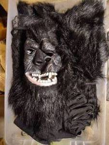 lot 3009 image: Adult Size Gorilla Costume Comes Packed in A Tote w Lid