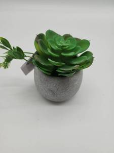 lot 68855 image: Artificial Succulent in Gray Stone Pot - Retail $15