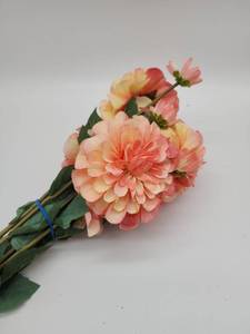lot 68873 image: Peach Zinnia Stems, 5 Bundle Stem Included  - Retail $12