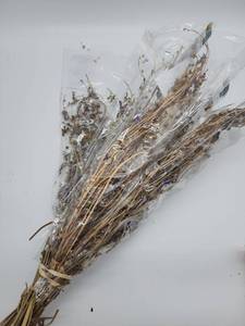 lot 69082 image: Dried Purple Larkspur Bundle - Retail $12